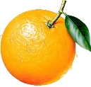 Апельсин пнг на прозрачном фоне - фото и картинки abrakadabra.fun